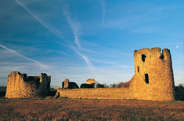 Flint Castle